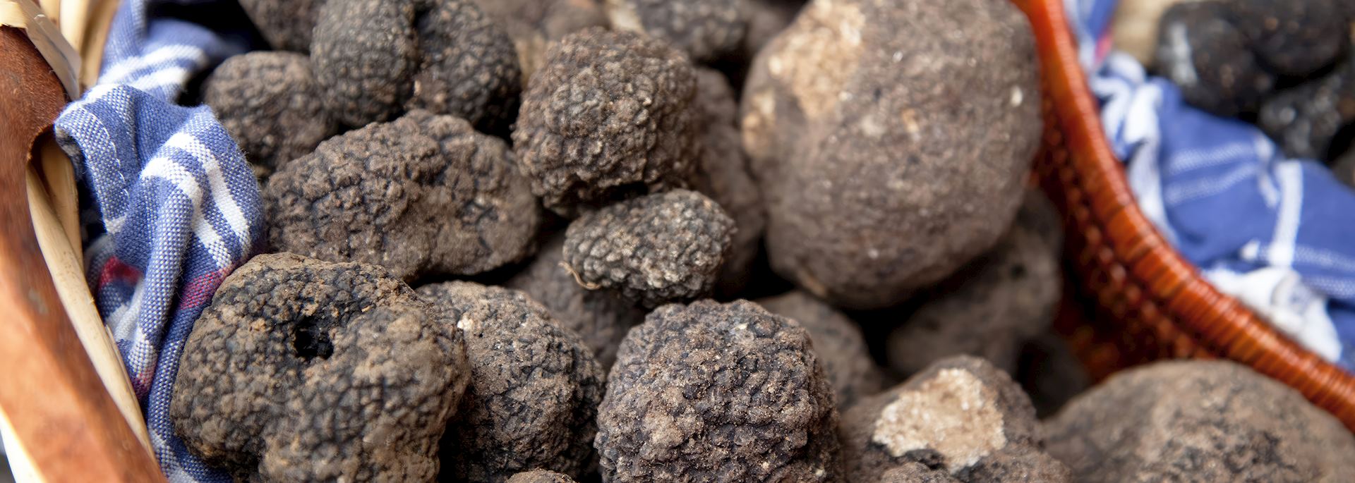 Fresh truffles
