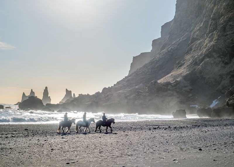 Horse riding tour on the black-sand beach of Vík