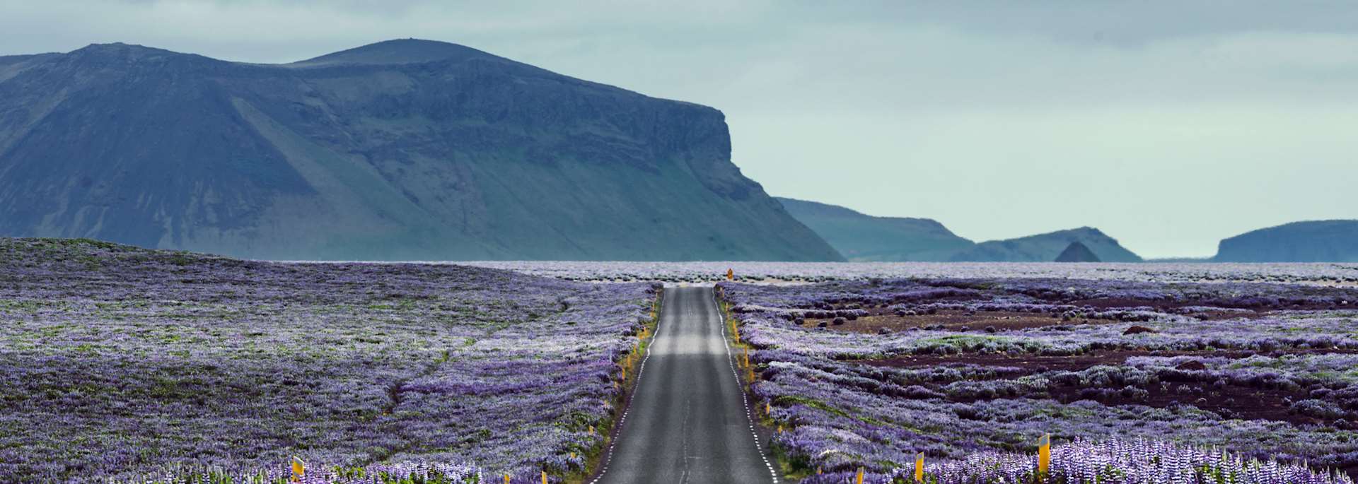 Road in Southwest Iceland