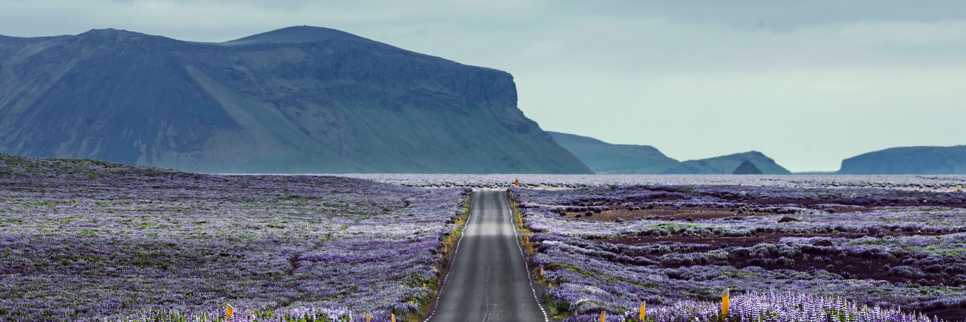 Road in Southwest Iceland