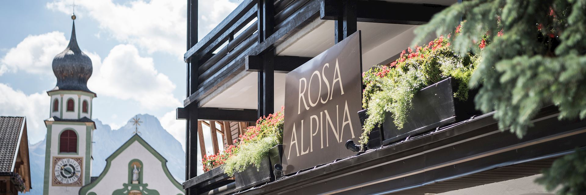Rosa Alpina