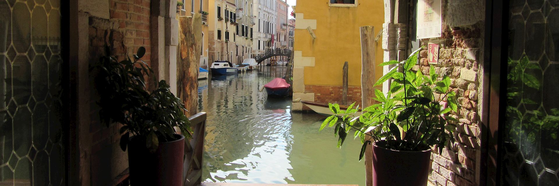 Ca D'Oro, Venice