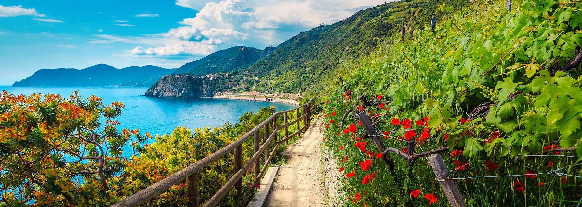 Manarola, Cinque Terre