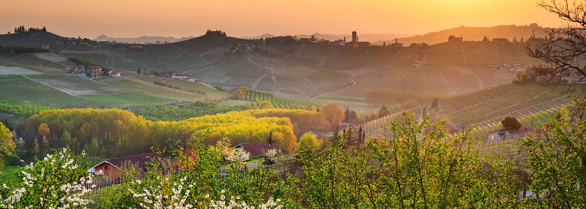 Barbaresco