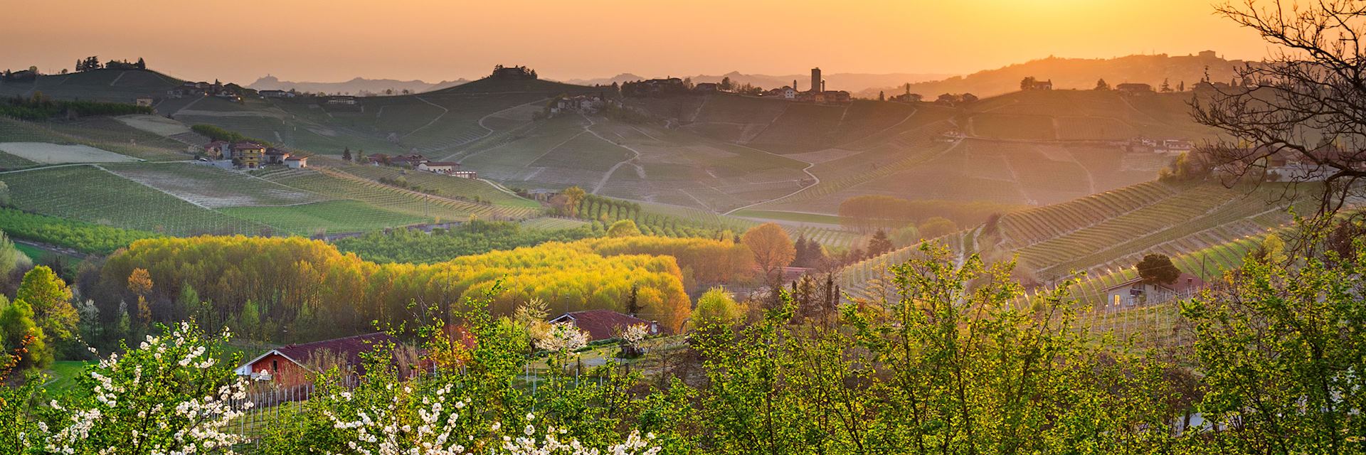 Barbaresco