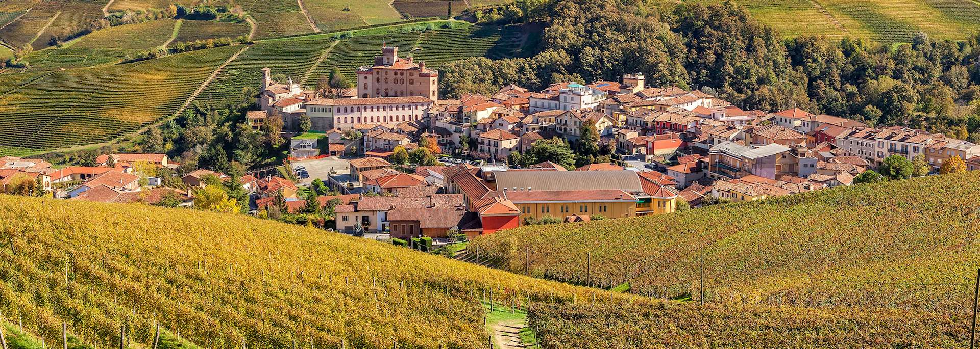 Barolo