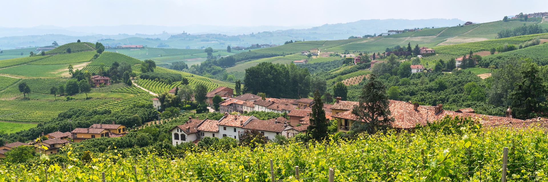 Piedmont
