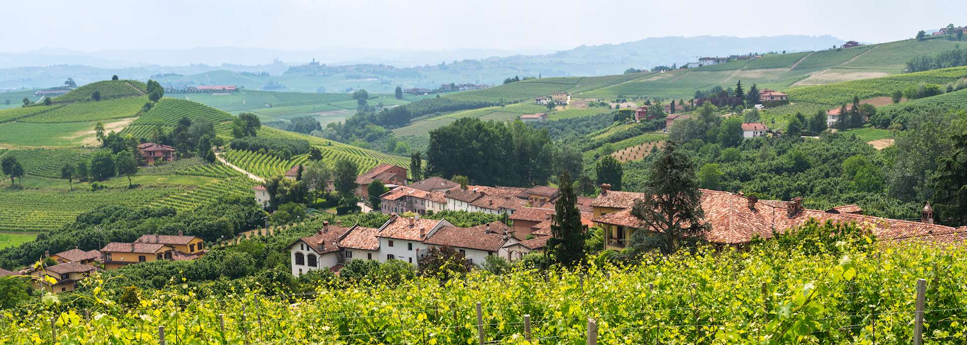 Piedmont