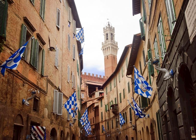 Contrade flags, Siena