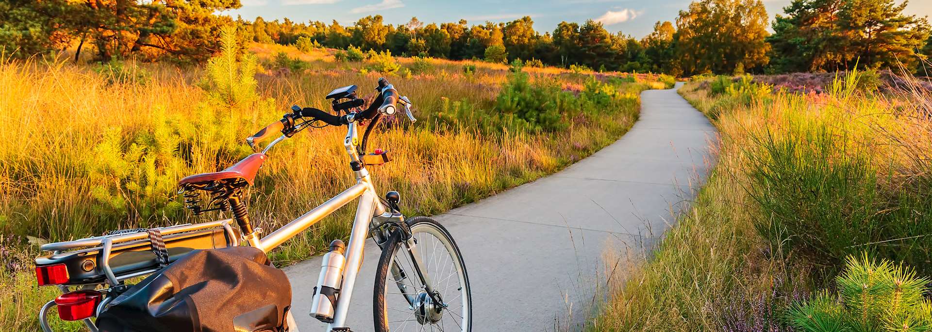 Bicycle in a national park in Gelderland