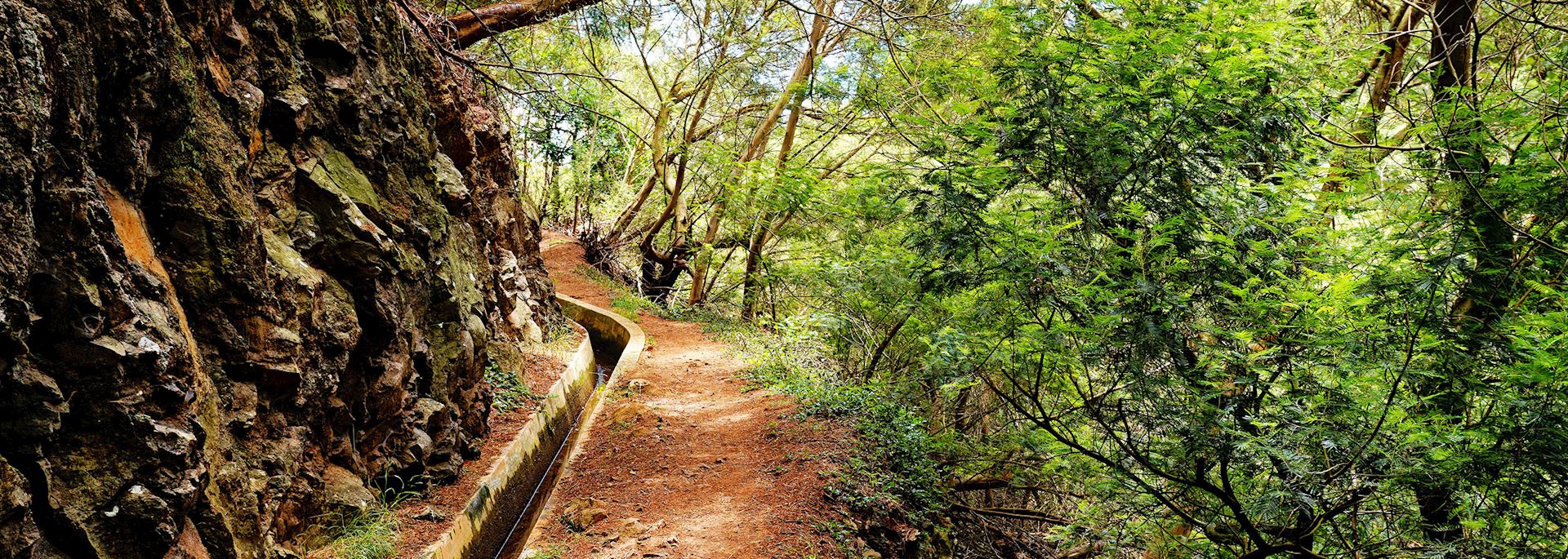Levada, Madeira
