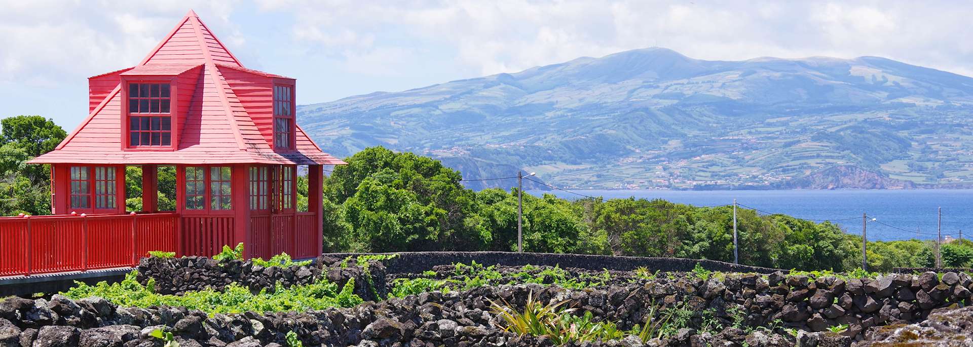 Vineyards on Pico Island