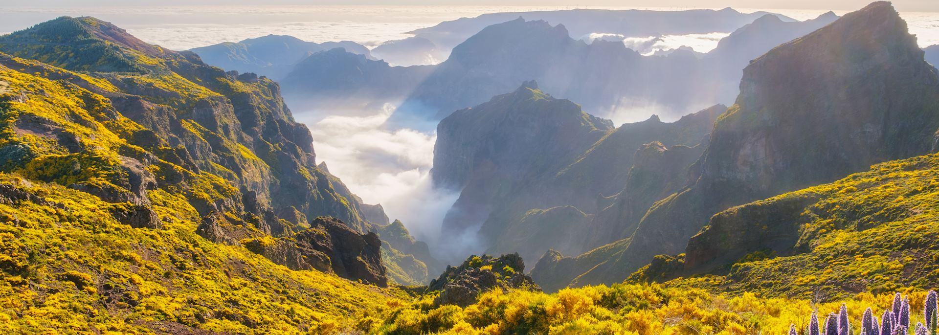 Pico do Arieiro, Madeira