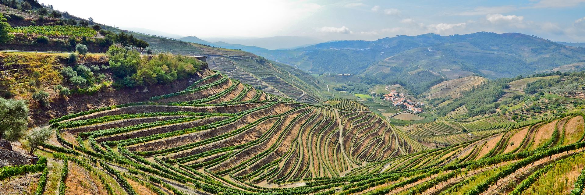 Vineyards near Pinhao, Portugal