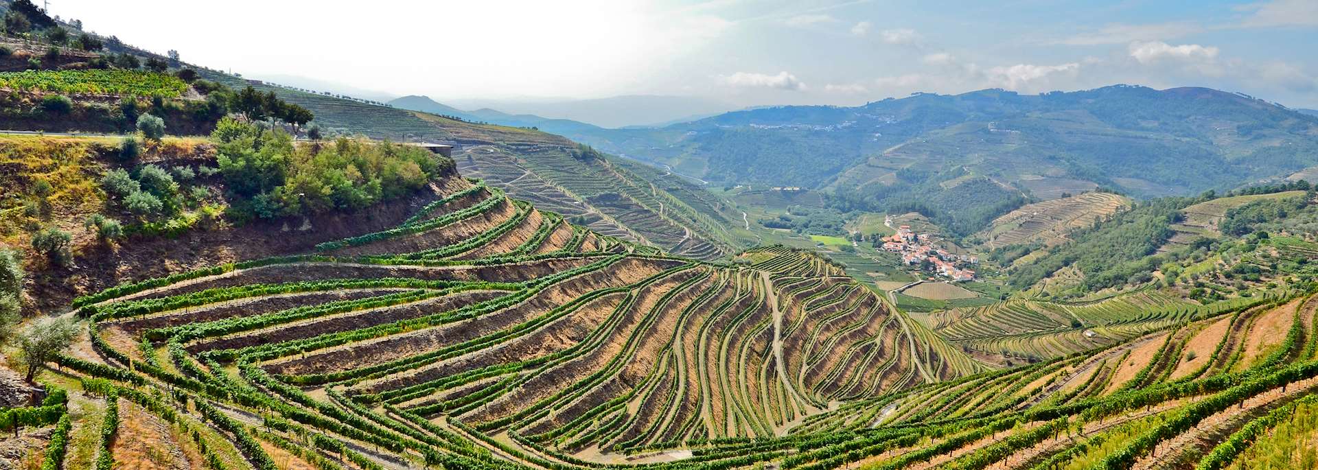 Vineyards near Pinhao
