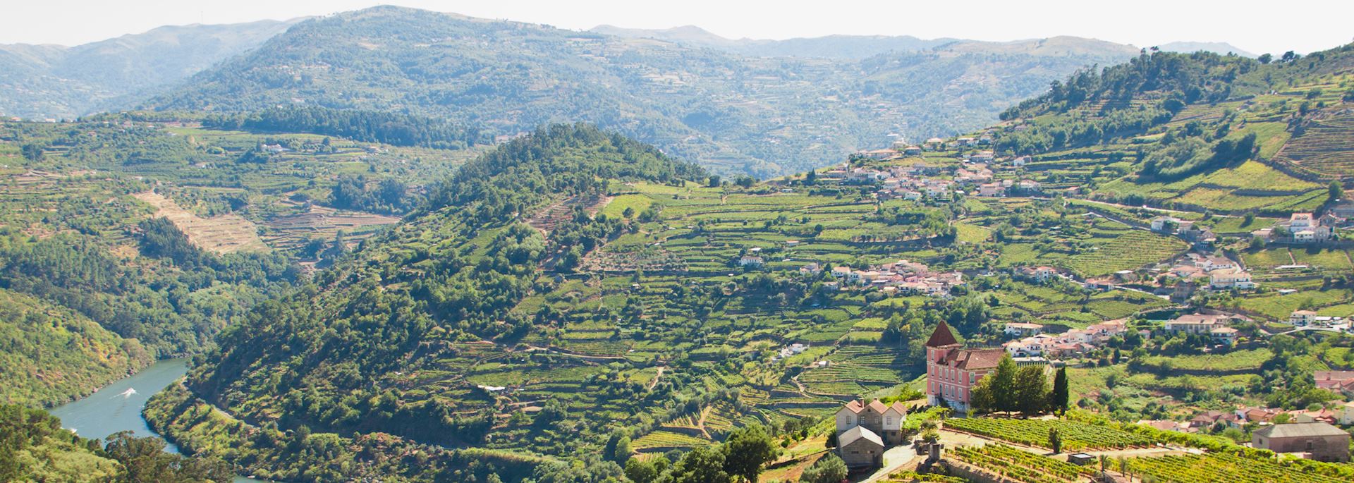 Vineyards in the Douro Valley