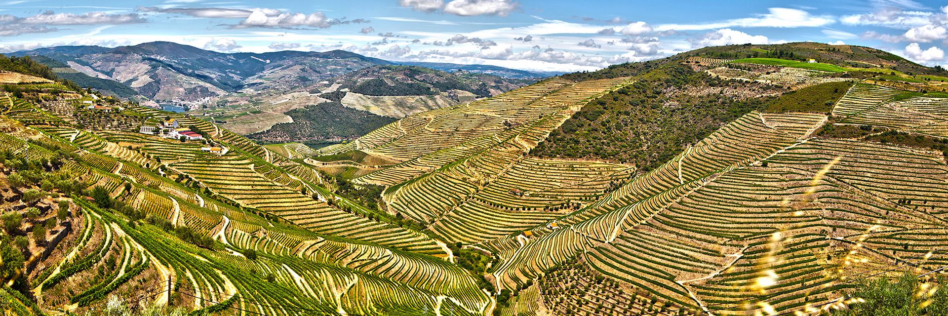 Douro Valley, Portugal