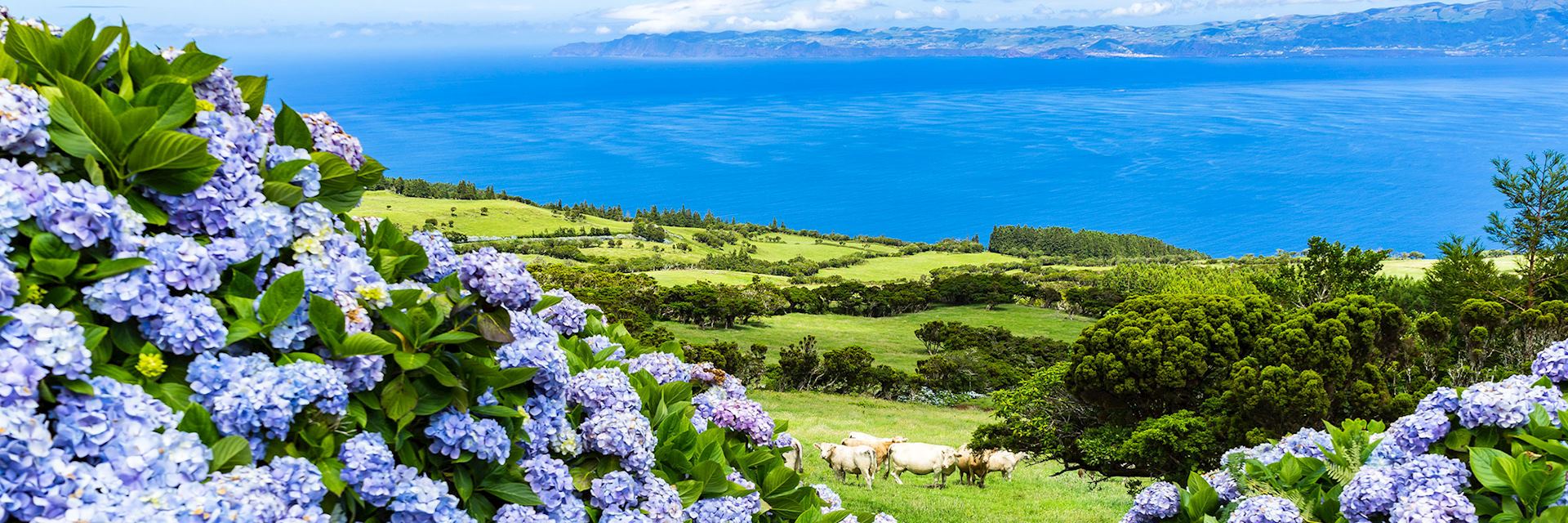 Pico Island, Azores