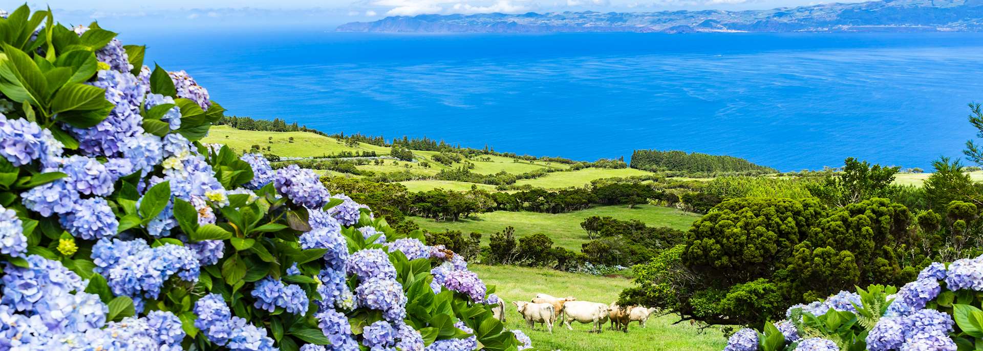 Pico Island, Azores