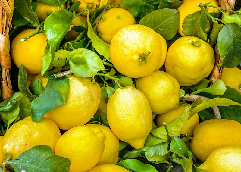 Monterosso al Mare lemons