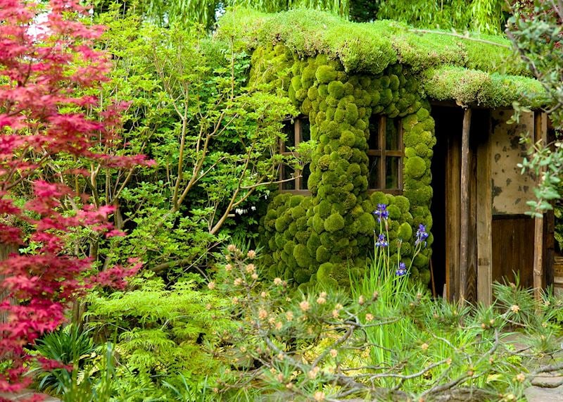 Chelsea Flower Show