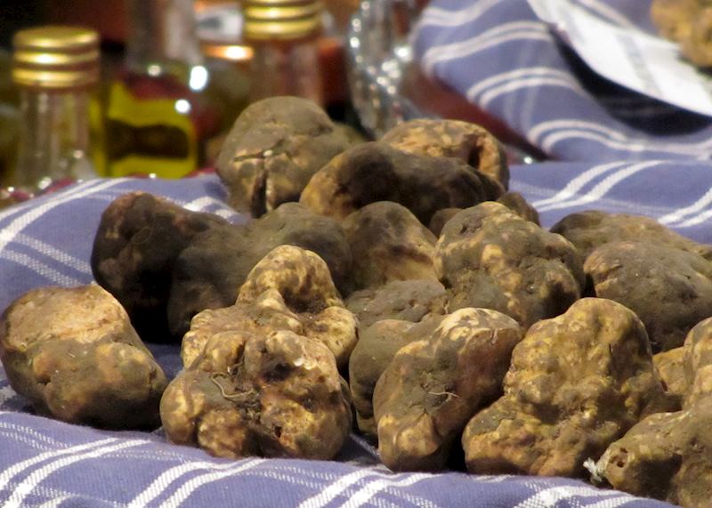 White truffles, Bologna