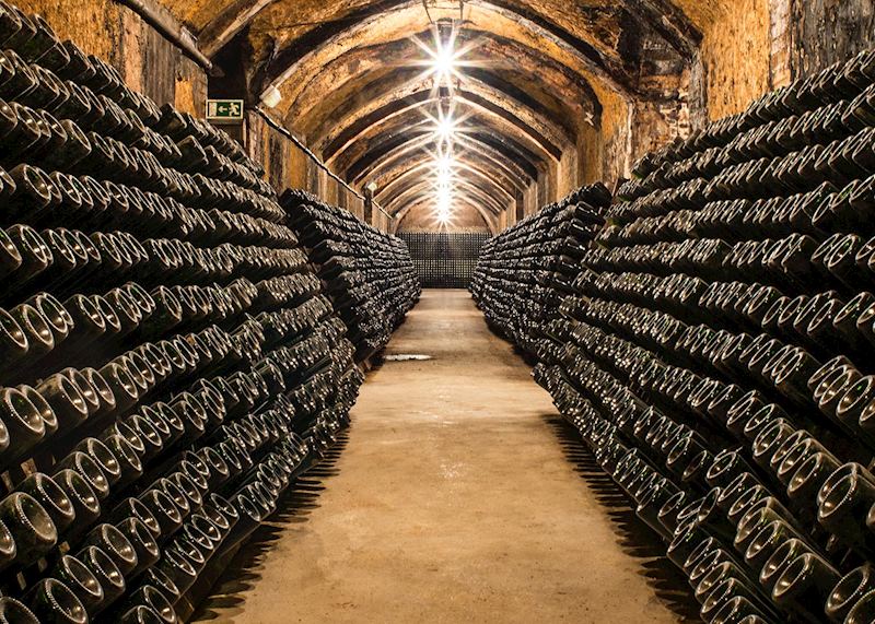 Cava cellars, Penedès region