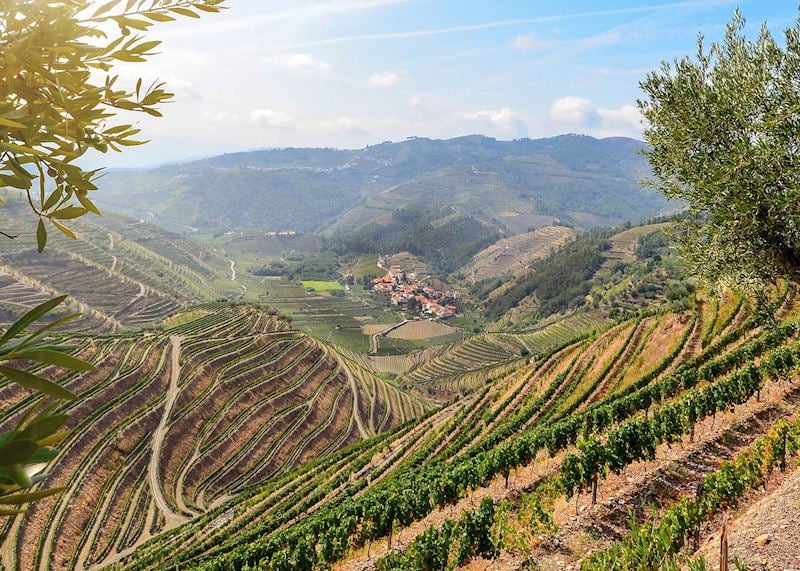 Douro Valley vineyards