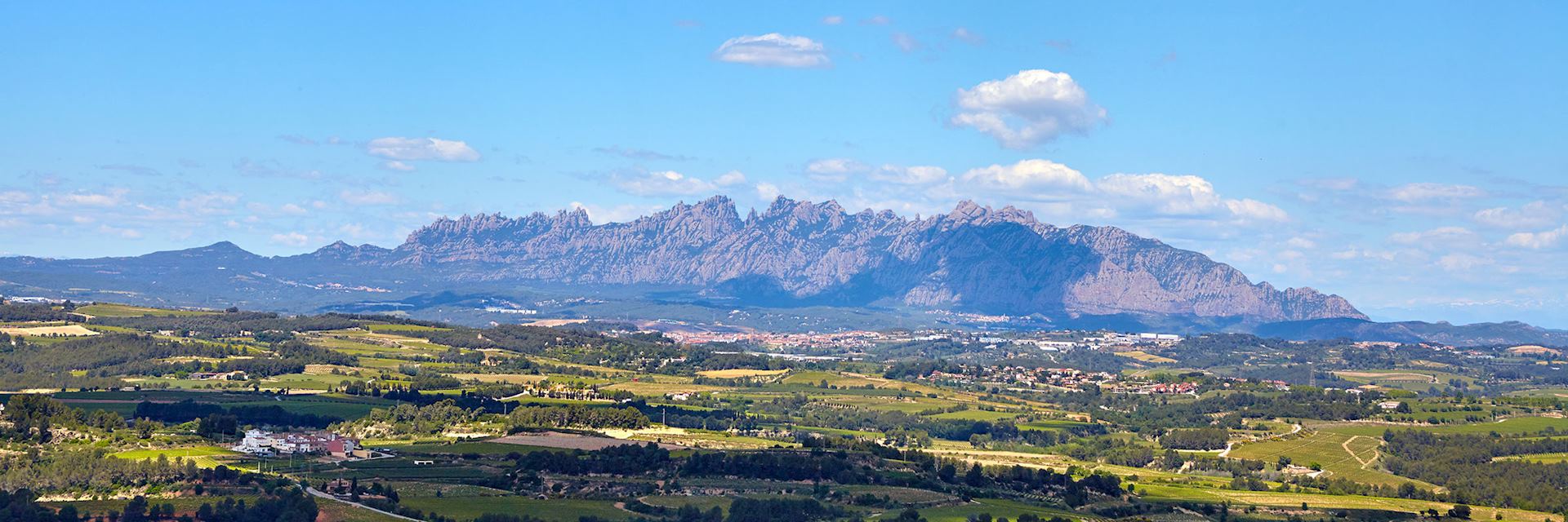 Vineyard, Montserrat