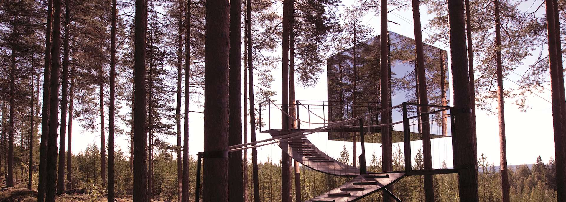Treehotel