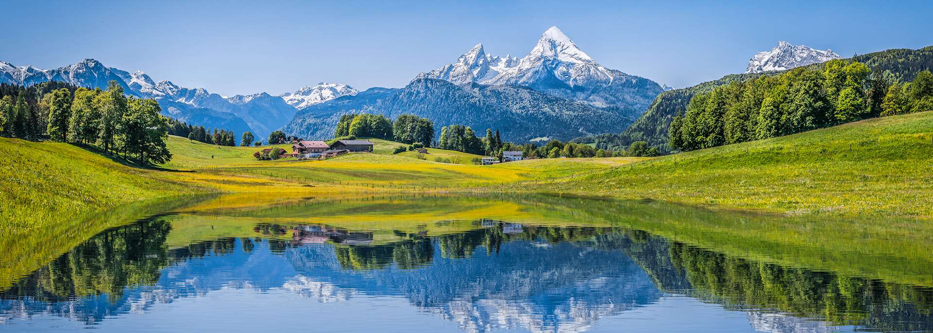 The Swiss Alps