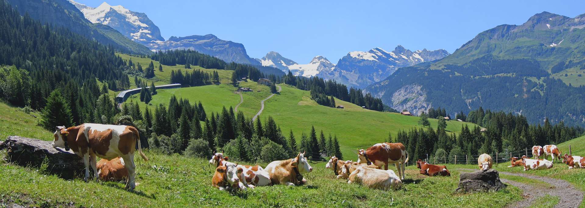 Wengen, Switzerland