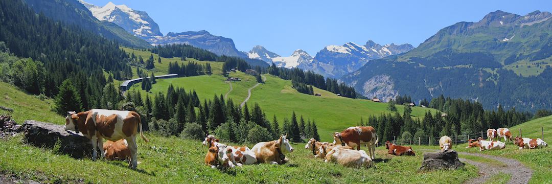 Wengen, Switzerland