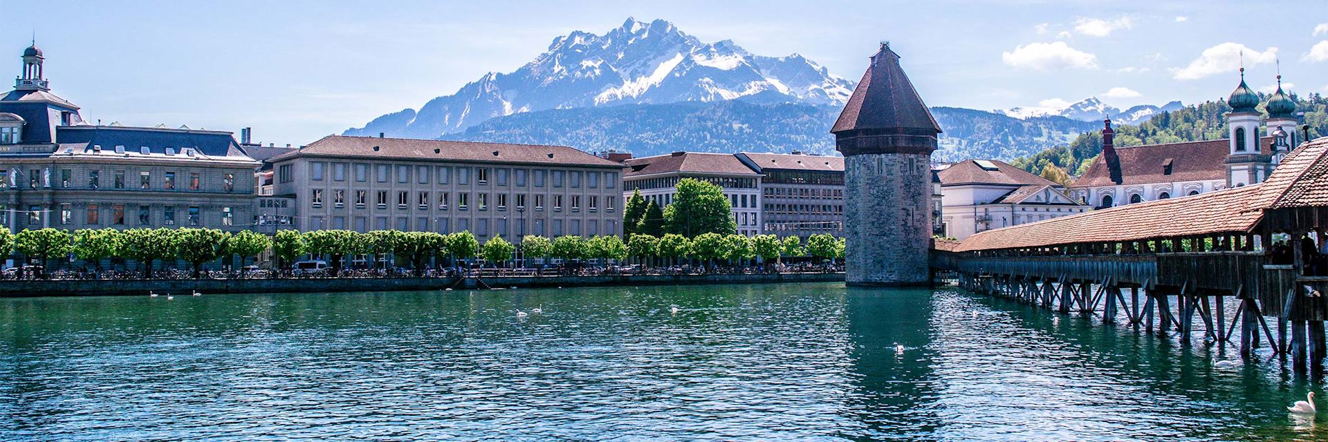 Lucerne