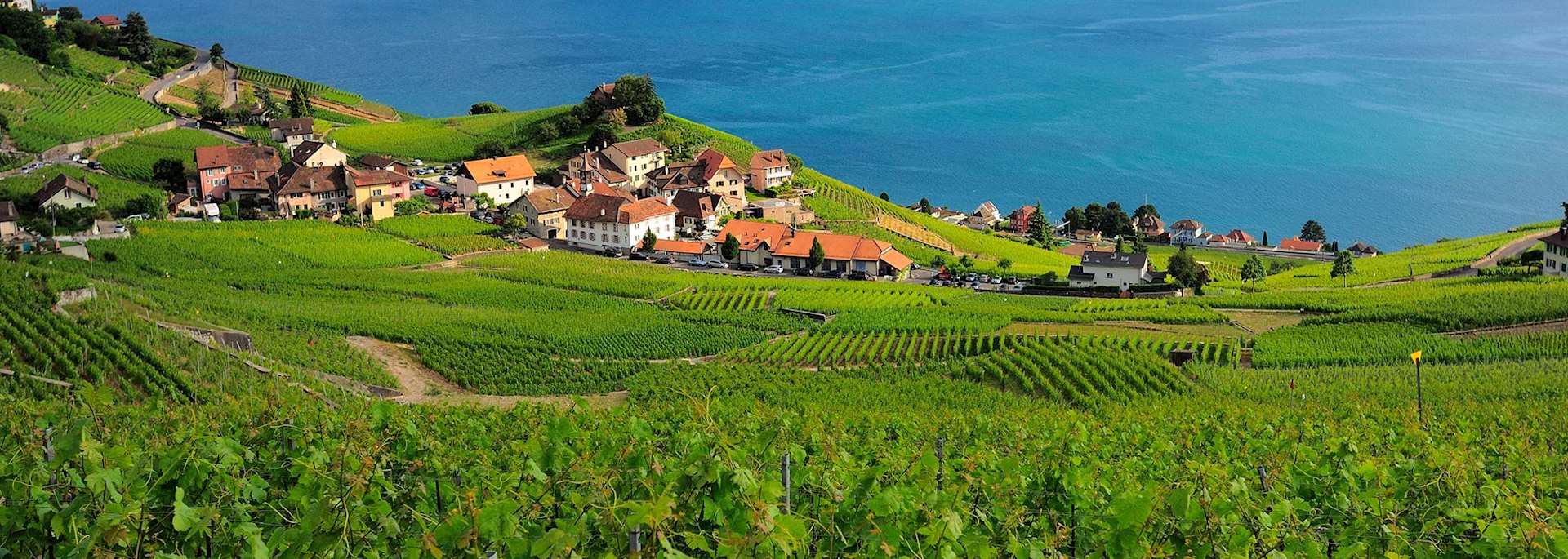 Lake Geneva