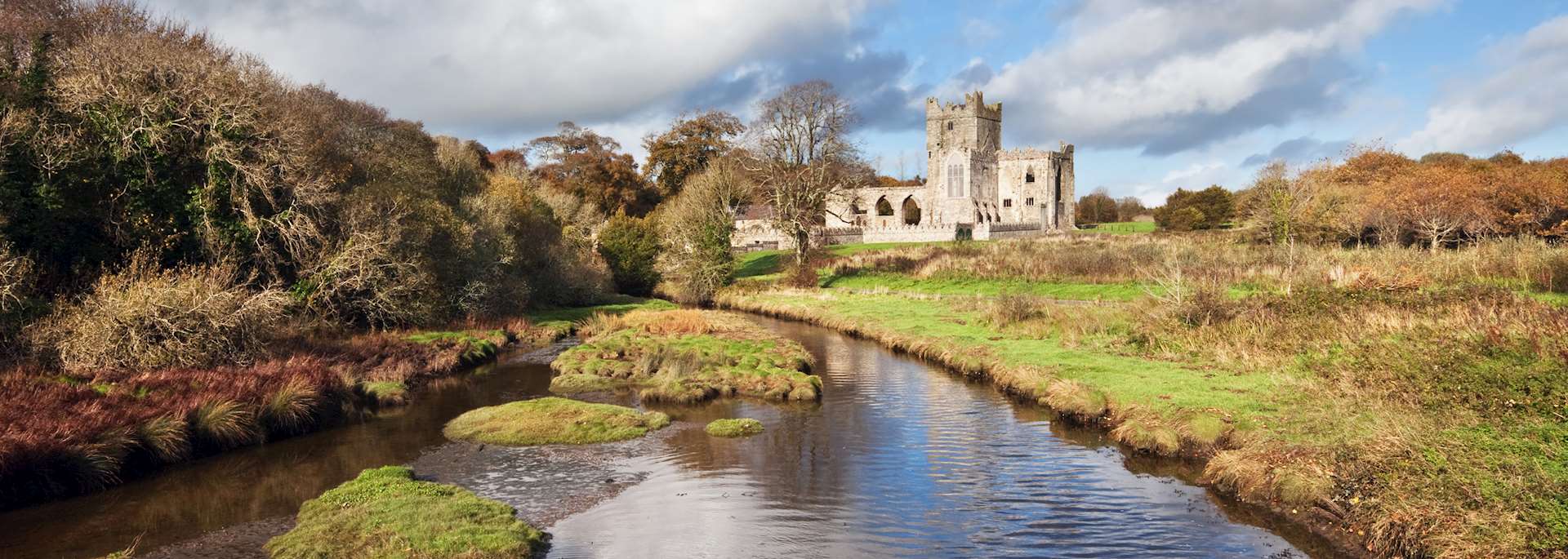 Tintern Abbey, County Wexford
