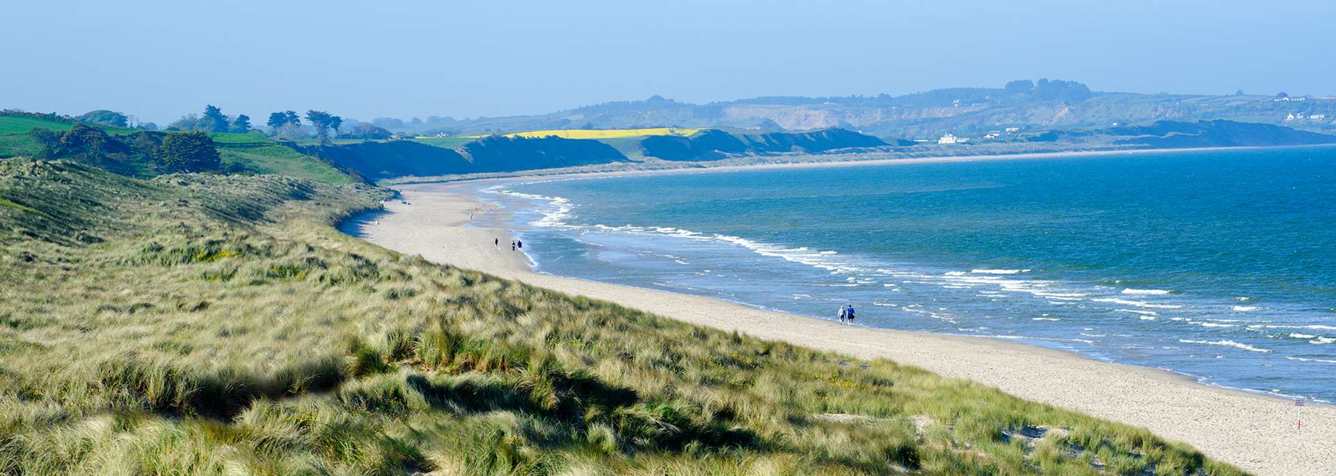County Wexford