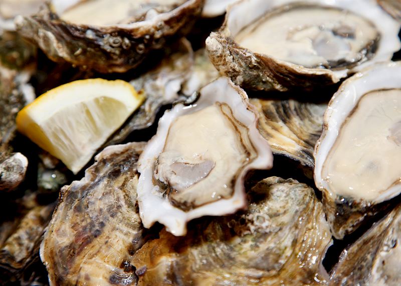 Oysters