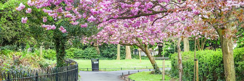 Saint Stephen’s Green, Dublin
