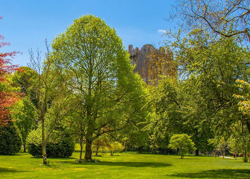 Blarney Castle