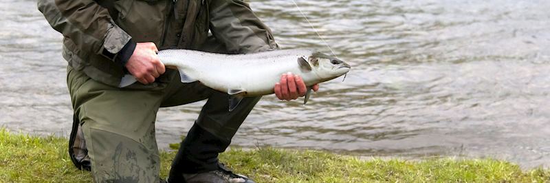 Salmon fishing on the Isle of Skye