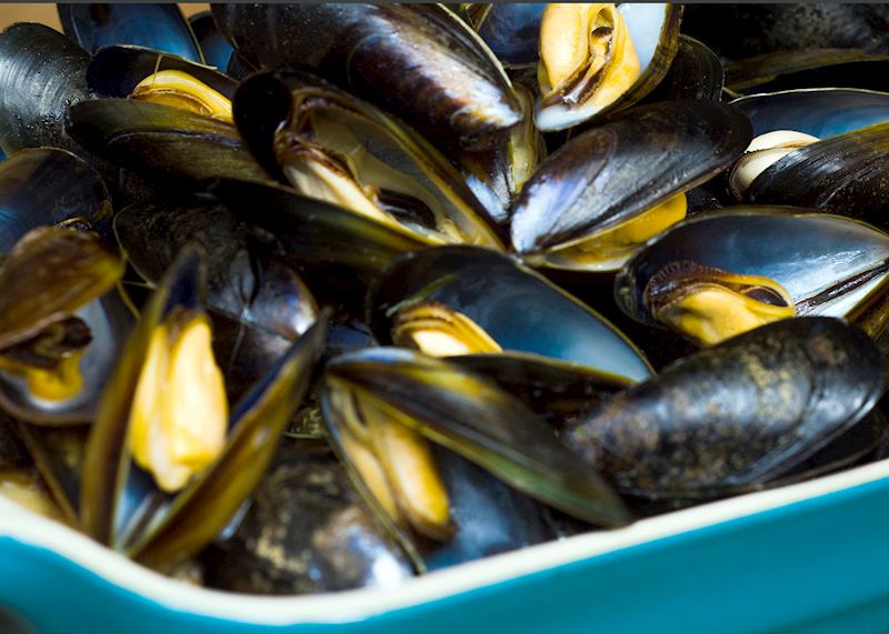 Fresh mussels
