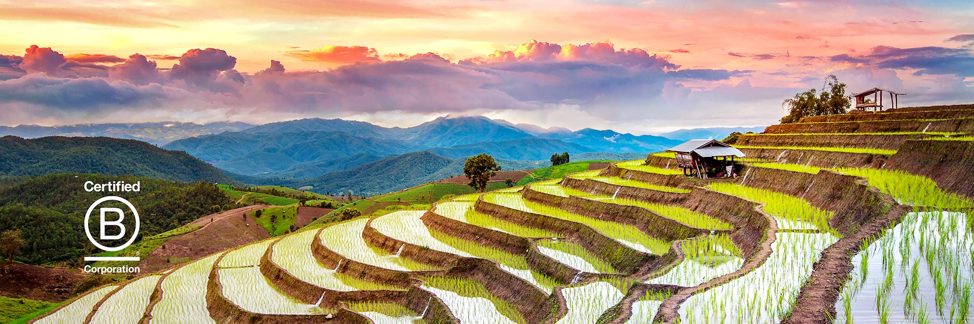 uk tour agencies Rice fields in Thailand