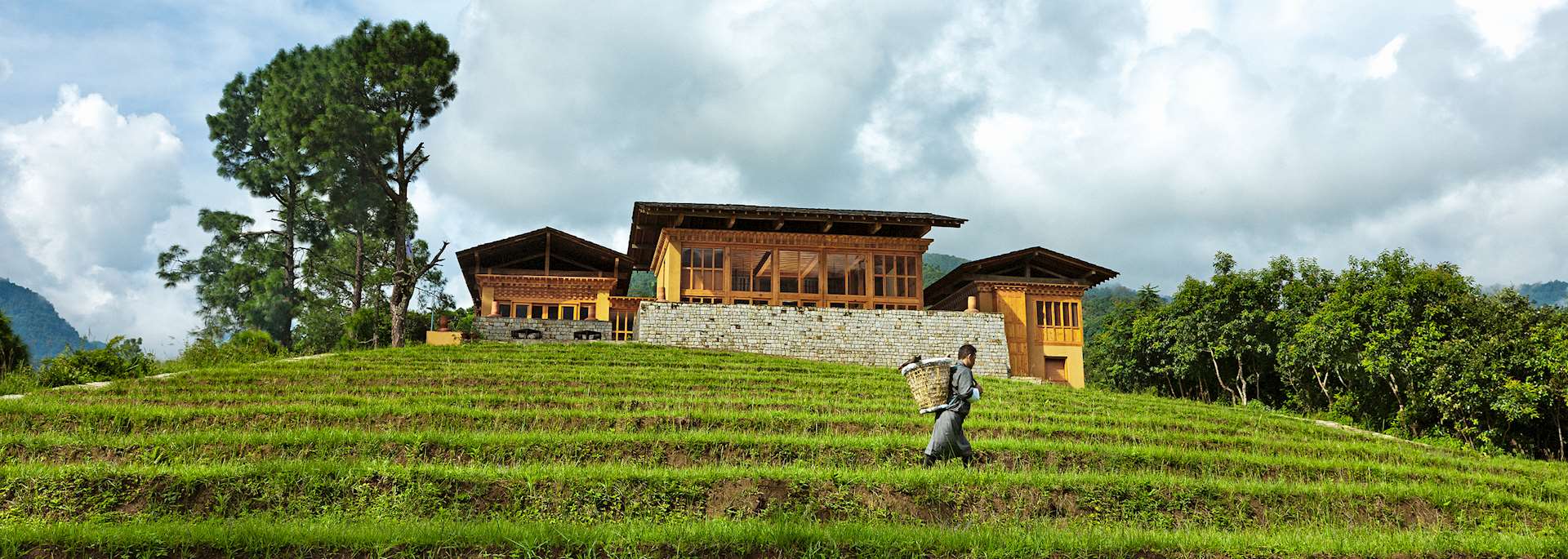 Uma Punakha, Punakha