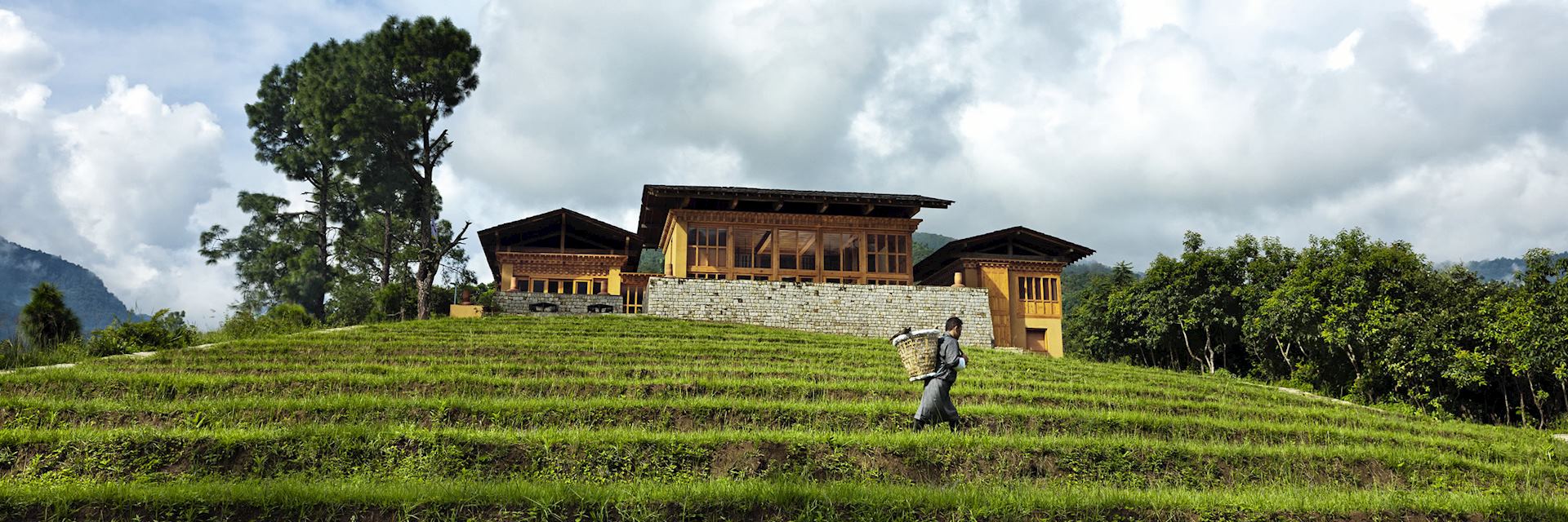 Uma Punakha, Punakha