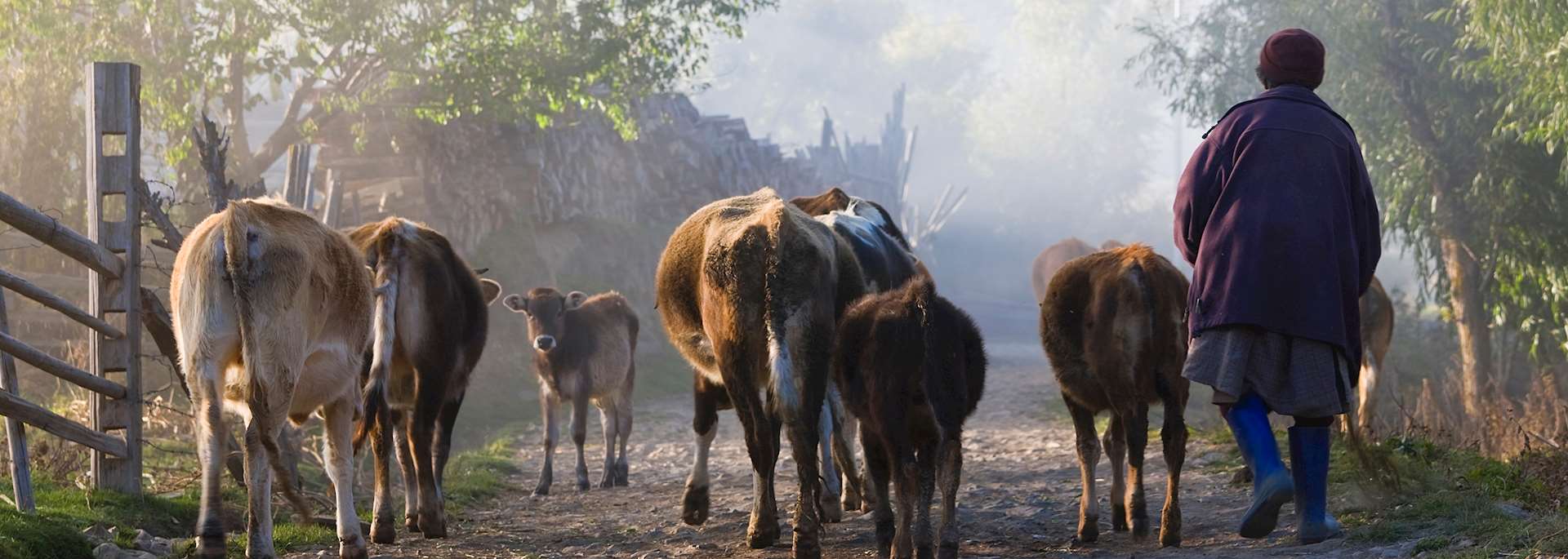 Ura village