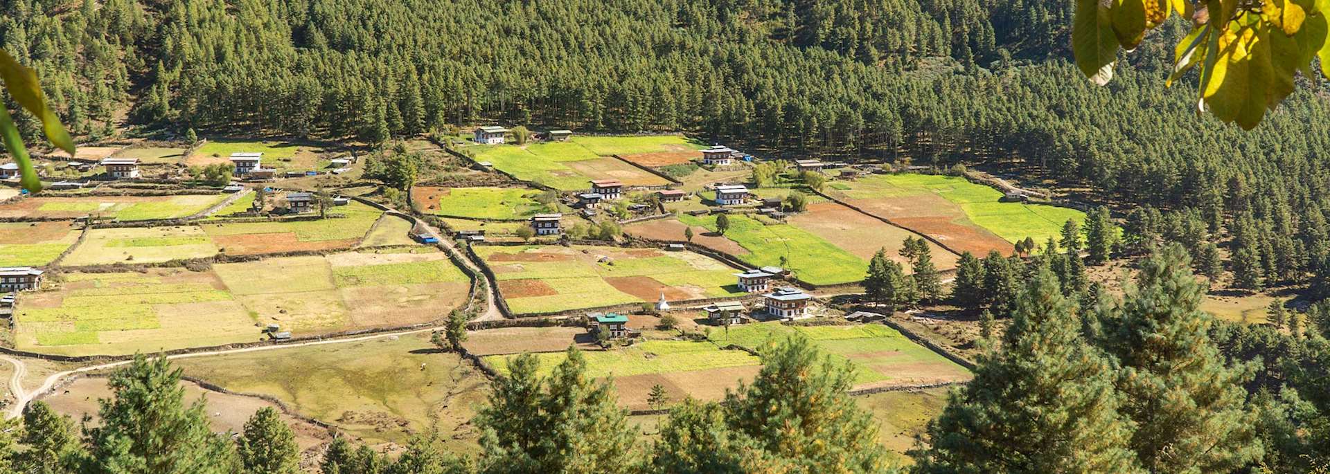 Phobjikha Valley