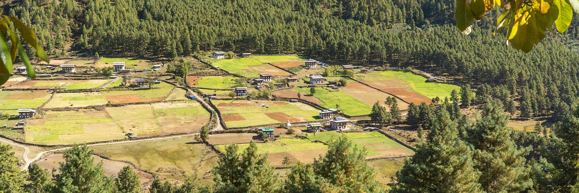 Phobjikha Valley