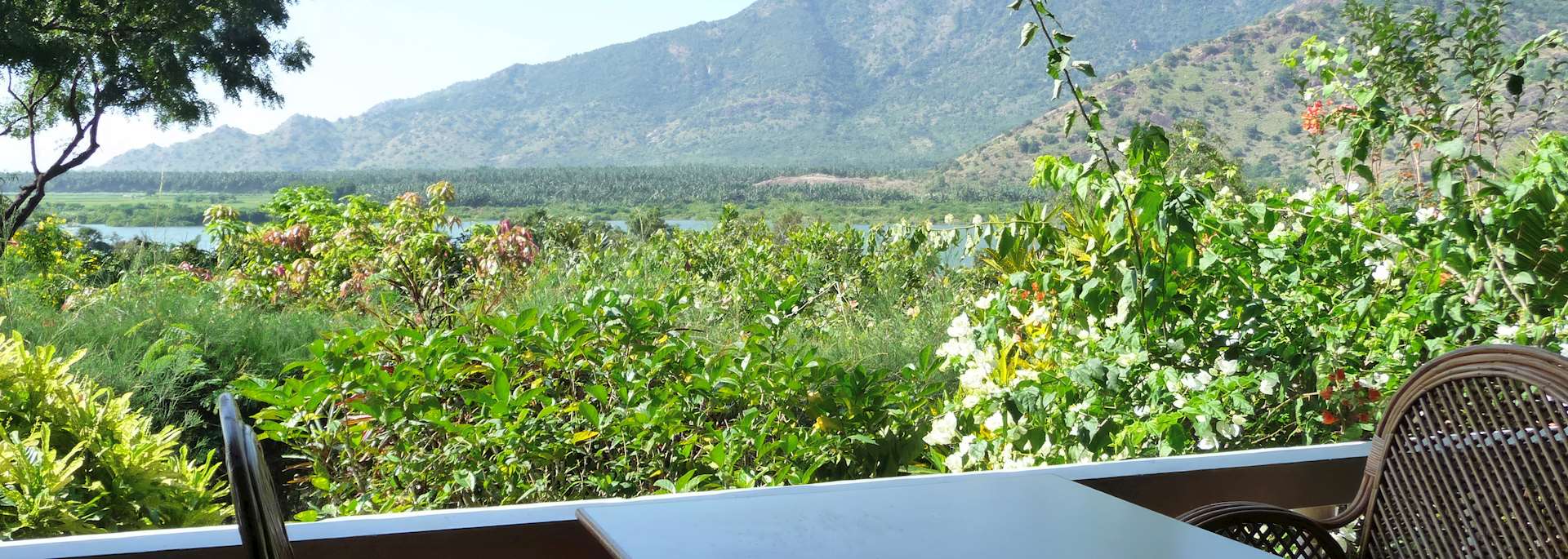 View from Cardamom House