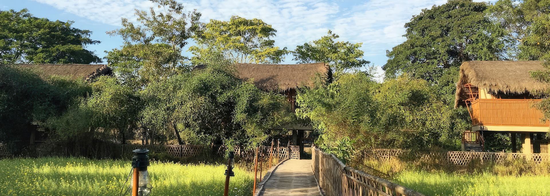 Bamboo walkway at Diphlu River Lodge